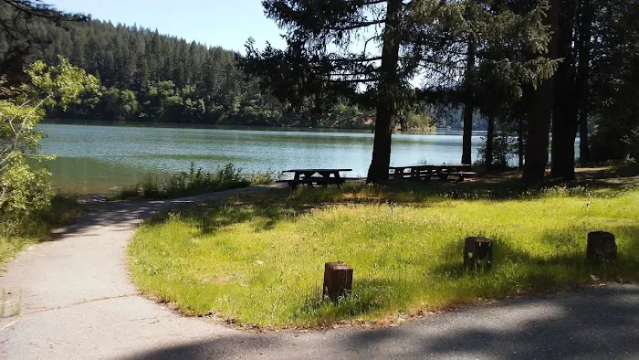 Cooper Gulch Campground Picture 1