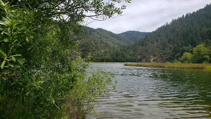 Cooper Gulch Campground Picture 2