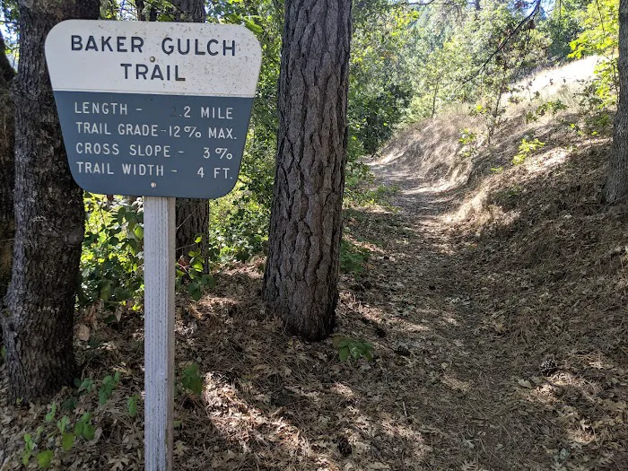 Cooper Gulch Campground Picture 4