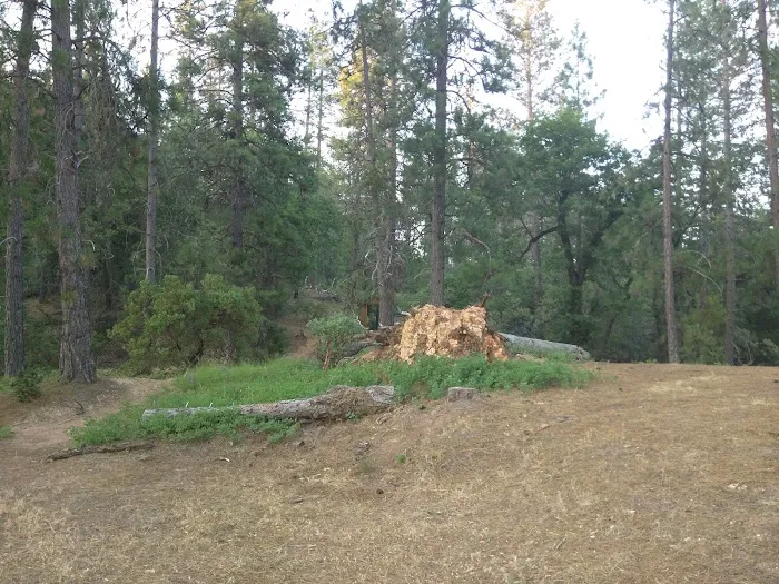 Ski Island Boat-In Campground Picture 2
