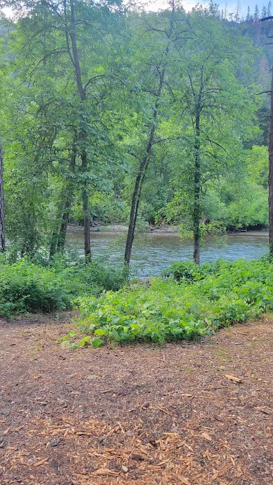Steel Bridge Campground Picture 1