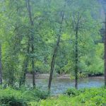 Steel Bridge Campground