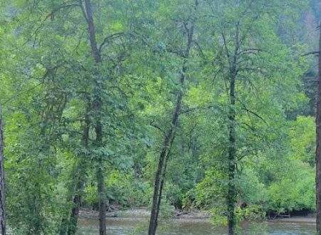 Steel Bridge Campground
