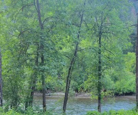 Steel Bridge Campground