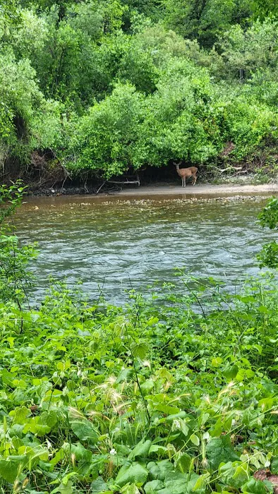Steel Bridge Campground Picture 4