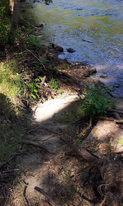Steel Bridge Campground Picture 3