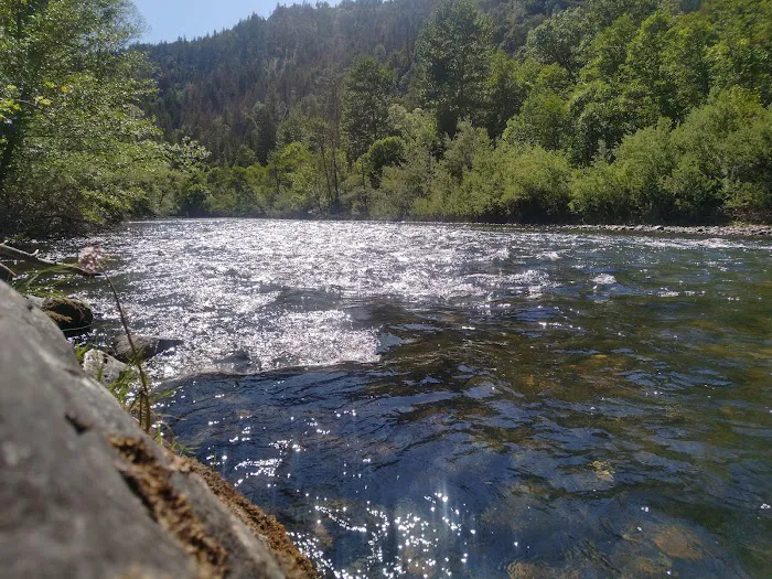 Steel Bridge Campground Picture 5