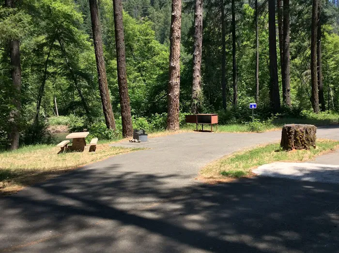 Steel Bridge Campground Picture 9