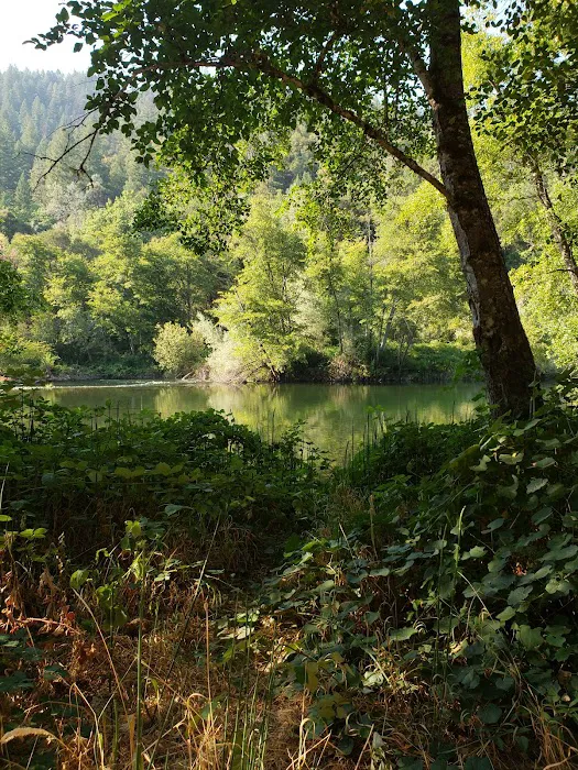 Steel Bridge Campground Picture 7
