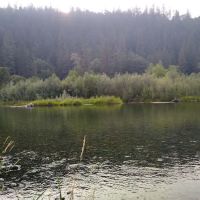 Douglas City Campground ico