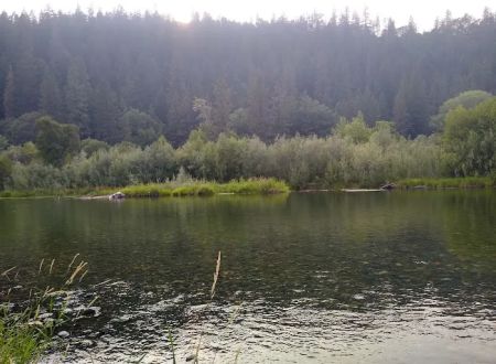 Douglas City Campground