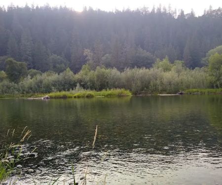 Douglas City Campground