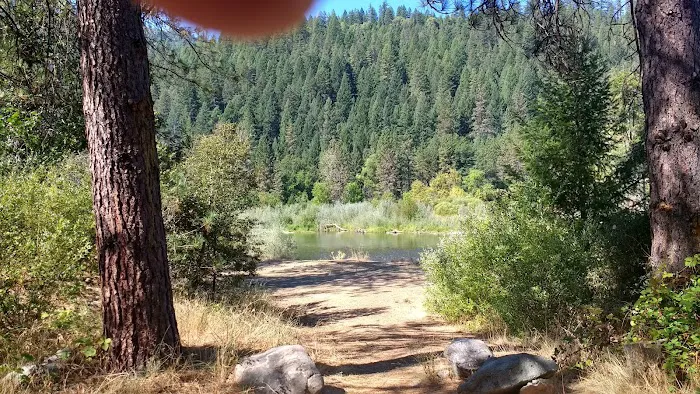 Douglas City Campground Picture 9