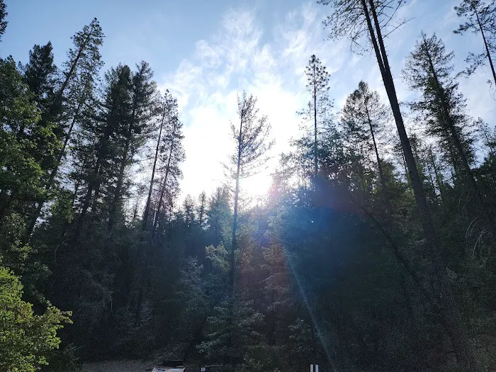 Douglas City Campground Picture 6
