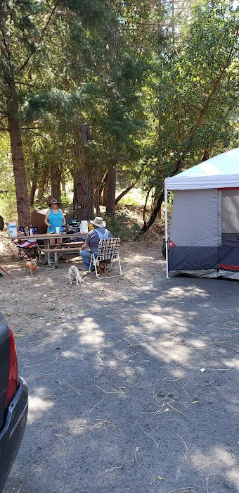 Douglas City Campground Picture 7