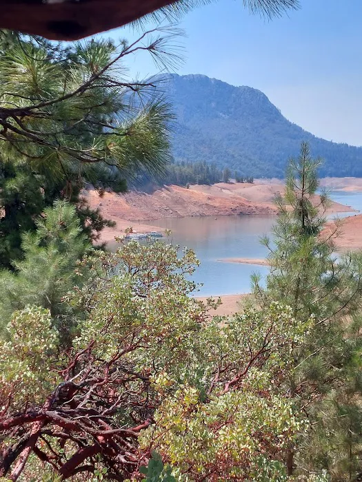 Hirz Bay Campground Picture 4