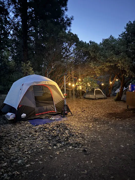 Hirz Bay Campground Picture 6