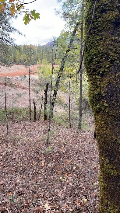 Salt Creek Dispersed Area Picture 3