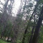 Nelson Point Campground