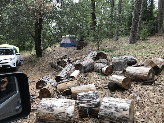 Moore Creek Campground Picture 9