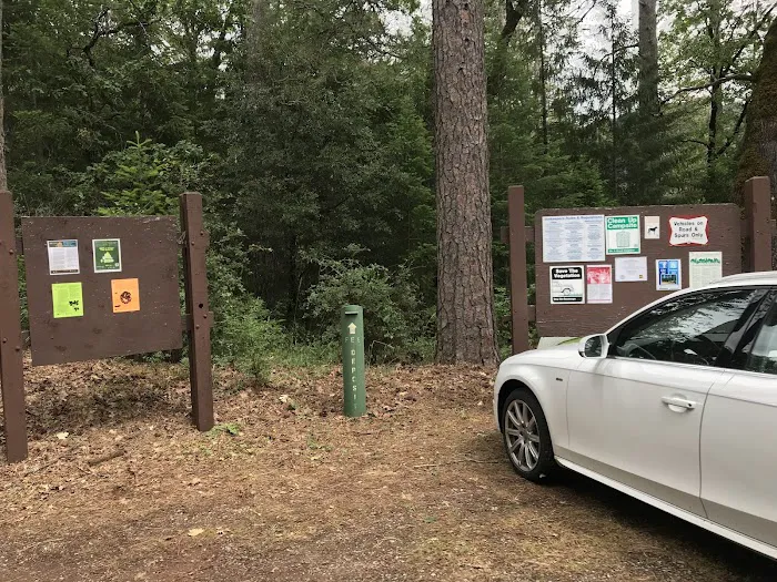 Moore Creek Campground Picture 7
