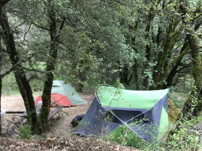 Moore Creek Campground Picture 6
