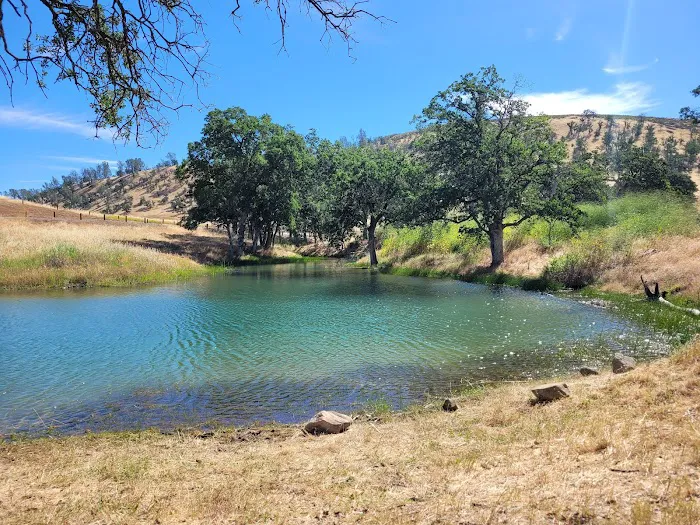 Stony Gorge Campground Picture 9