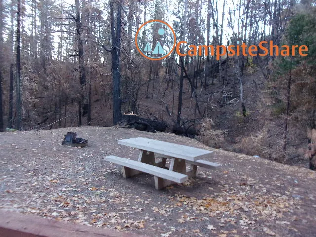 Whitlock Campground Picture 4