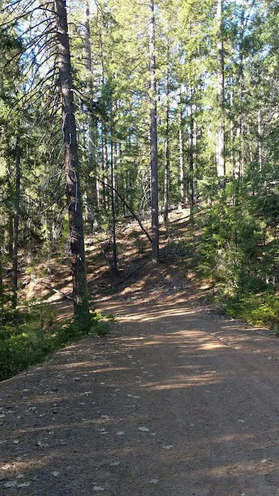 Whitlock Campground Picture 3