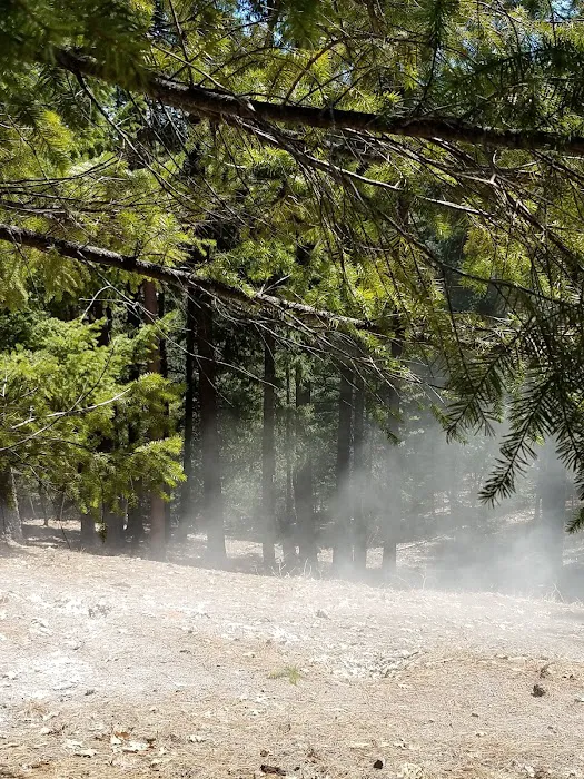 Whitlock Campground Picture 7