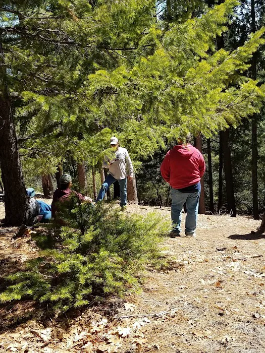 Whitlock Campground Picture 10