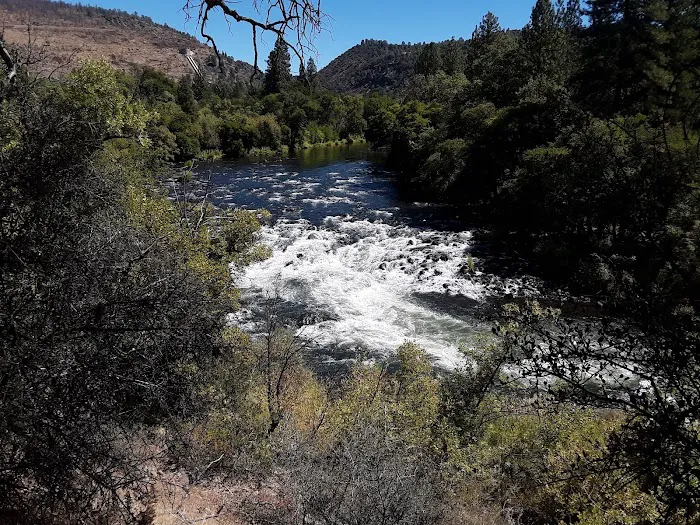 BLM Pit River Campground Picture 9