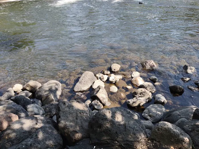BLM Pit River Campground Picture 3