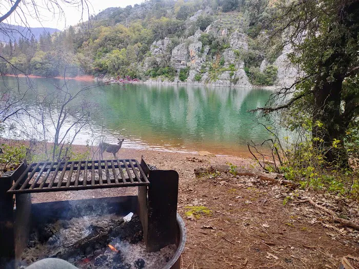 Ellery Creek Campground Picture 9