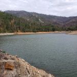 Pine Point Group Camp