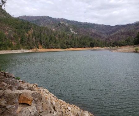 Pine Point Group Camp