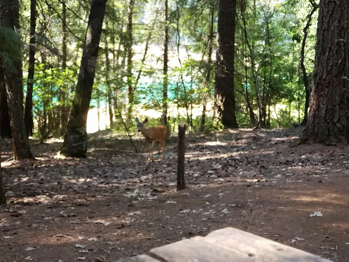 Hawkins Landing Campground Picture 10