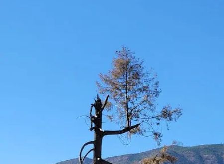 Deadlun Campground