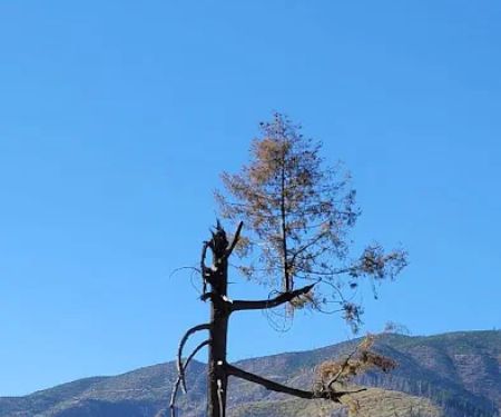 Deadlun Campground