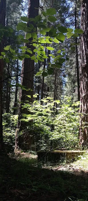 Deadlun Campground Picture 2