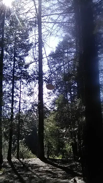 Madesi Campground Picture 7