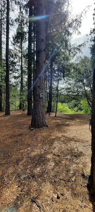 Madesi Campground Picture 4