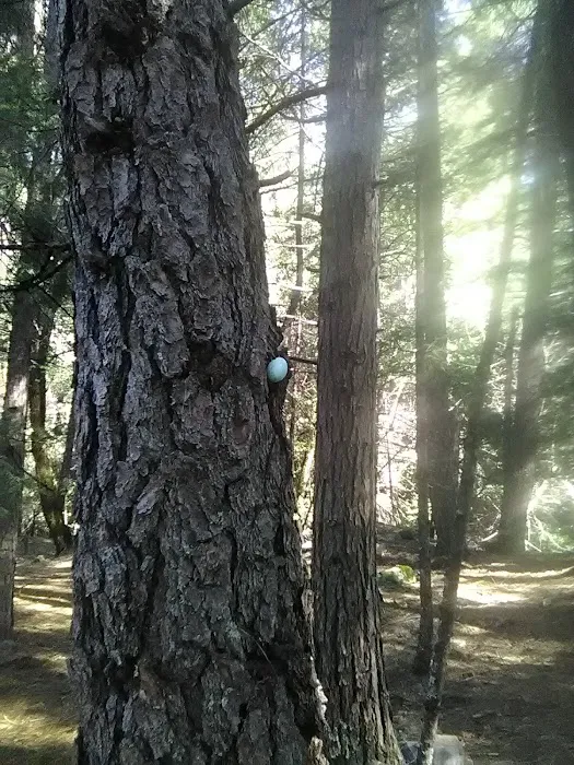 Madesi Campground Picture 8