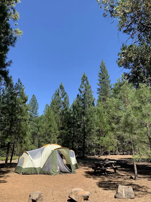Pioneer Campground Picture 2