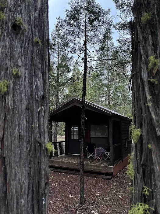 Pioneer Campground Picture 6