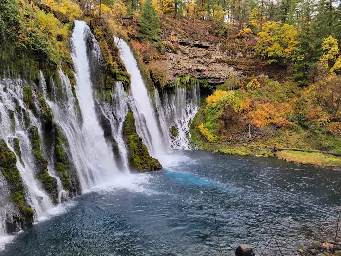 McArthur - Burney Falls Rim Campground Picture 9