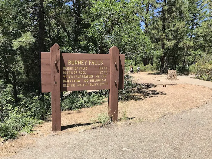 McArthur - Burney Falls Rim Campground Picture 4