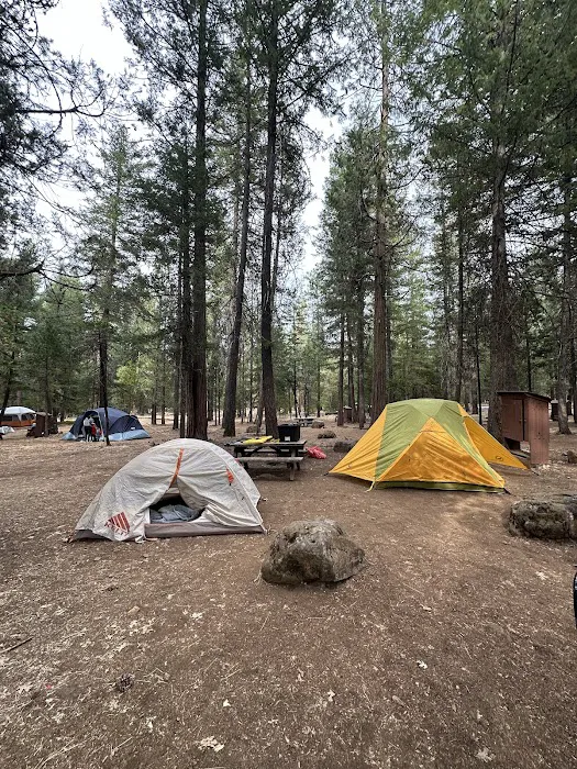 McArthur - Burney Falls Rim Campground Picture 5