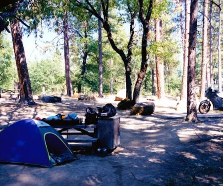 Northshore Campground