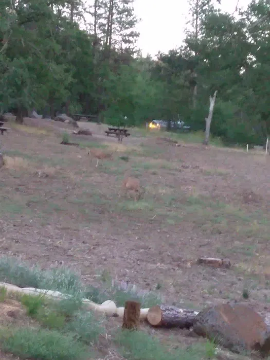 Northshore Campground Picture 6